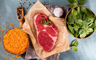 Major Minerals – Iron